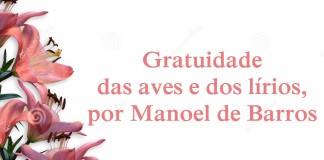Gratuidade das Aves e dos Lírios, por Manoel de Barros