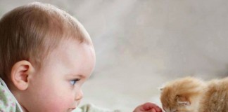 Os Estatutos do Homem (Ato Institucional Permanente), poema de Tiago de Melo Os Estatutos do Homem (Ato Institucional Permanente), poema de Tiago de Melo