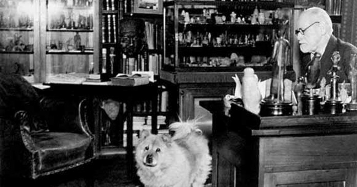 Freud capa Por que o sucesso custa tão caro?