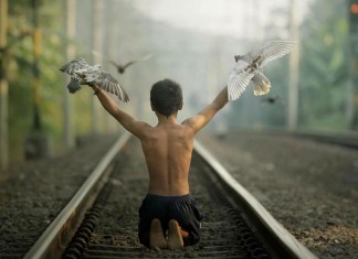 “SOBRE O MORRER”, uma crônica de Rubem Alves