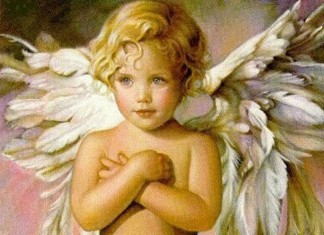 OBSERVATÓRIO DO MEU ANJO DA GUARDA