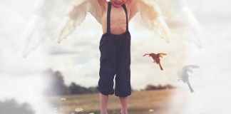 O Fusca de Paulinho O Fusca de Paulinho