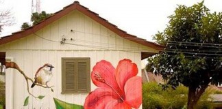 Cartas, por Lúcia Costa