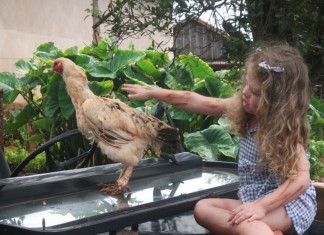 “Um psicanalista sensível sugeriria que o ninho nos reconduz ao útero.”, Rubem Alves