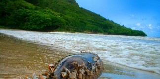 O invólucro dos segredos