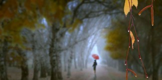 “Lamento da Mãe orfã”, de Cecília Meireles às mães cujo filho já se mudou para outras paragens