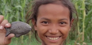 O “peixe de ferro da sorte”: receita médica para a cura da anemia O “peixe de ferro da sorte”: receita médica para a cura da anemia