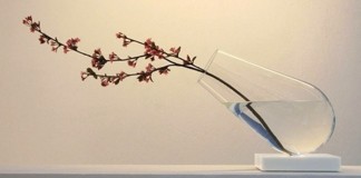 A regra fundamental de vida, por José Saramago