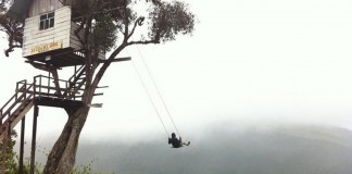 Um sonho de liberdade