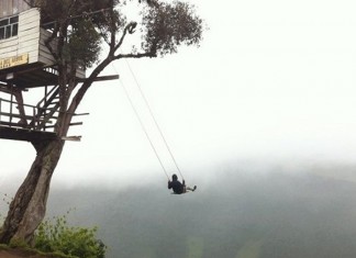 Um sonho de liberdade