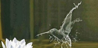 Todos ambicionam a paz. Que fazes para sustentá-la?