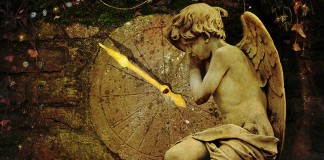 Você viu o tempo passar?