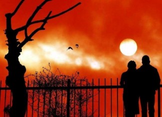 4 poemas de Adélia Prado que deveríamos ler e reler