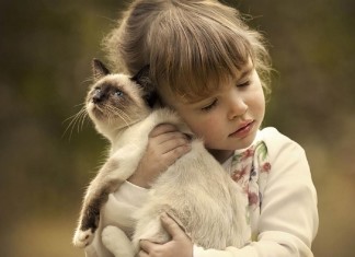 “Vista cansada”, uma crônica a quem não se fez cego de indiferença