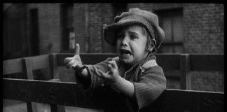 A cadela e o menino – Um breve olhar sobre raças A cadela e o menino – Um breve olhar sobre raças