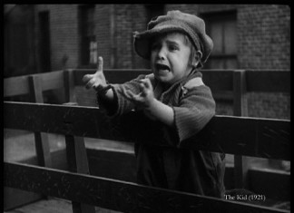 A cadela e o menino – Um breve olhar sobre raças