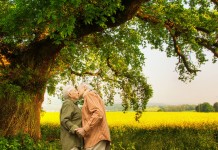 Amar é dançar sob um velho carvalho Amar é dançar sob um velho carvalho