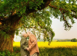 Amar é dançar sob um velho carvalho