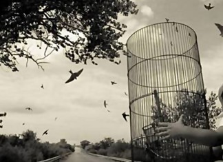 As metáforas de Rubem Alves