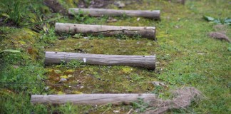 Meu primeiro consultório: Reflexões sobre o início da prática clínica