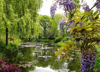 Em algum lugar entre o certo e o errado existe um jardim