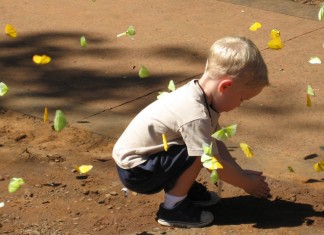 Um berço para uma borboleta
