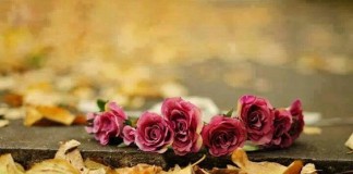 A força de quem venceu a morte e sobre ela impera A força de quem venceu a morte e sobre ela impera