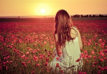 Desligue o zoom e ative seu olhar panorâmico Desligue o zoom e ative seu olhar panorâmico