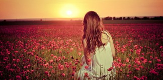 Desligue o zoom e ative seu olhar panorâmico Desligue o zoom e ative seu olhar panorâmico