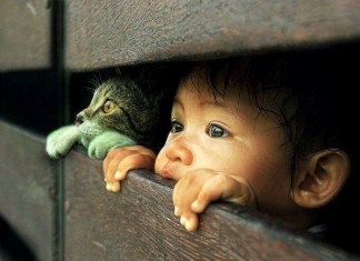 “O último poema”, penso que todo poeta já desejou ter escrito este poema.