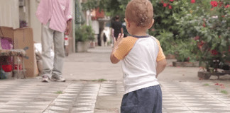 “O tempo é senhor de delicadezas, desafios e novidades constantes”: caminhando com Tim Tim