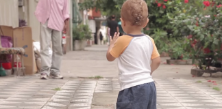 “O tempo é senhor de delicadezas, desafios e novidades constantes”: caminhando com Tim Tim