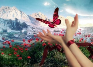 VENDE-SE TUDO, por Martha Medeiros