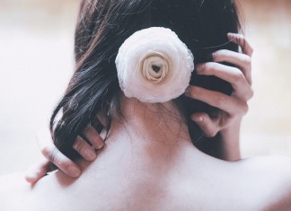 Razão e sensibilidade em todos os tempos