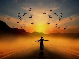 O que andar de bicicleta tem a ver com o sentido da vida