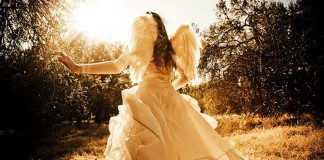 Já não podemos mais voar sem freios