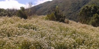 Expectativas x Realidade Expectativas x Realidade