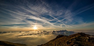 Só a morte desperta os nossos sentimentos, por Albert Camus