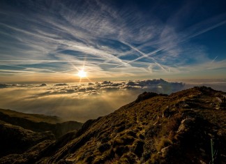 Só a morte desperta os nossos sentimentos, por Albert Camus