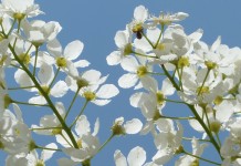 Educação, Respeito, Gentileza e Gratidão Educação, Respeito, Gentileza e Gratidão