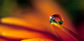 Quando a emoção está acorrentada à dor, a lágrima é liberdade Quando a emoção está acorrentada à dor, a lágrima é liberdade