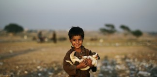 O Melhor Amigo – crônica de Fernando Sabino