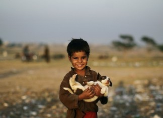 O Melhor Amigo – crônica de Fernando Sabino
