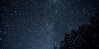 Minha escola é a vida