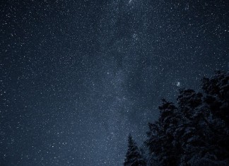 Minha escola é a vida