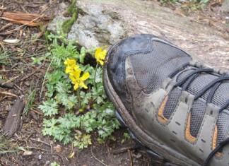 “No caminho, com Maiakóvsky”, um poema assustadoramente atual