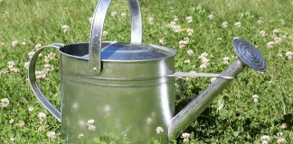 Você tem um regador para a sua vida?