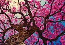 O verdadeiro sentido da vida é sempre nela encontrar um sentido. O verdadeiro sentido da vida é sempre nela encontrar um sentido.