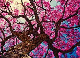 O verdadeiro sentido da vida é sempre nela encontrar um sentido.