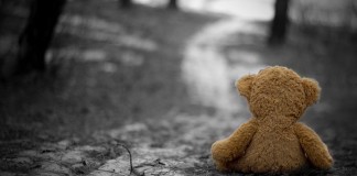 Minha família é o mundo